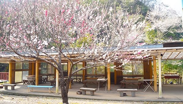 フォレストパーク373